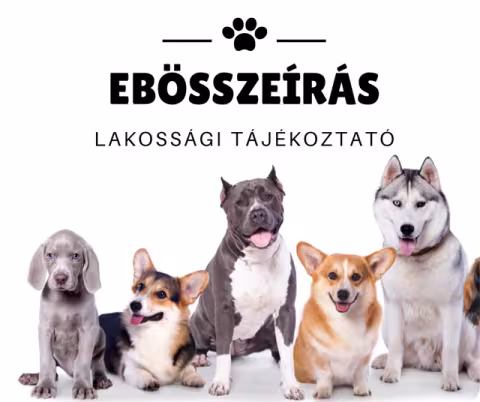 EBÖSSZEÍRÁS Miskolcon