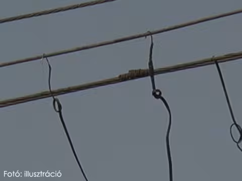 Áramtolvajokat buktattak le a mezőőrök