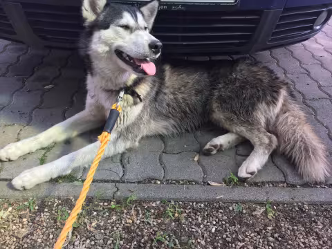 Megtaláltuk, megkerestük :)