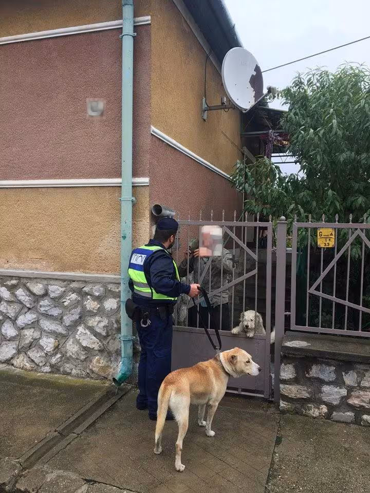 Gazdátlanul